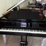 locação de piano acústico de cauda Mairiporã locação de piano acústico de cauda Mairiporã