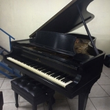 onde vende piano acústico de cauda Jardim Bonfiglioli onde vende piano acústico de cauda Jardim Bonfiglioli