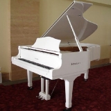 piano cauda branco orçamento Vila Maria piano cauda branco orçamento Vila Maria