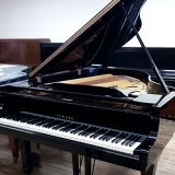 pianos caudas usados José Bonifácio pianos caudas usados José Bonifácio